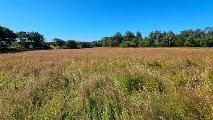 Land For Sale In Penstraze, Chacewater, Truro, TR4