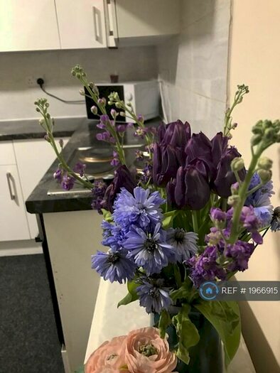 1 Bedroom Flat To Rent In Crookes Valley Road, Sheffield, S10