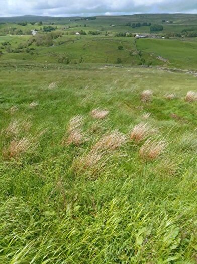 Land For Sale In Land At Hard Hills, South Stainmore, Kirkby Stephen, CA17