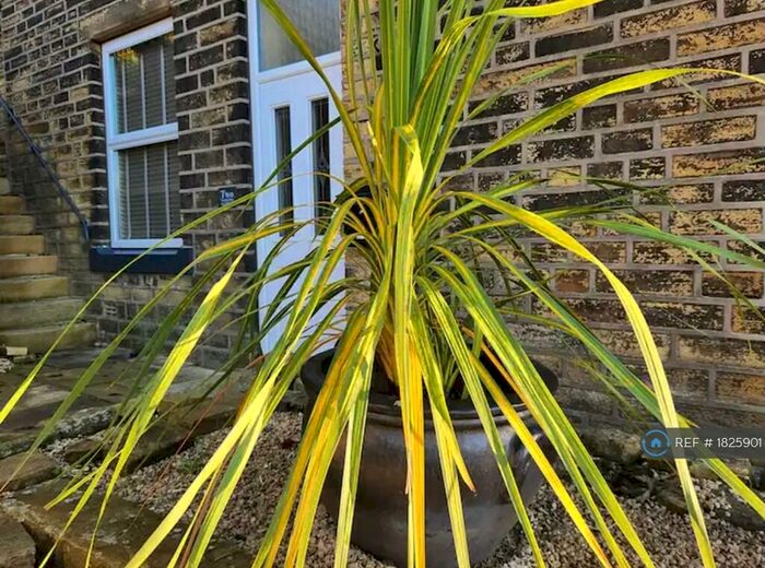 3 Bedroom Semi-Detached House To Rent In Victoria Place, Luddendenfoot, Halifax, HX2