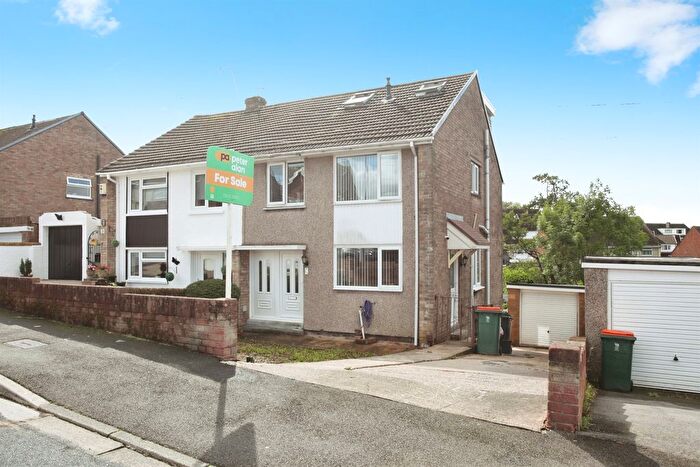 4 Bedroom Semi-detached House For Sale In Hollybush Avenue, Newport, NP20
