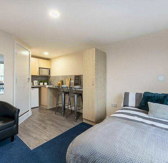 1 Bedroom House To Rent In Studio Hoyle St, Sheffield, Sheffield, S3