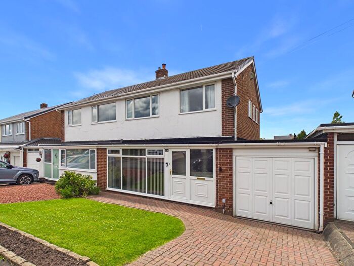 3 Bedroom Semi-detached House For Sale In Ferndale, Durham, DH1