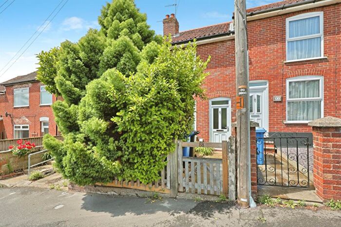 3 Bedroom Terraced House For Sale In Junction Road, Norwich, NR3