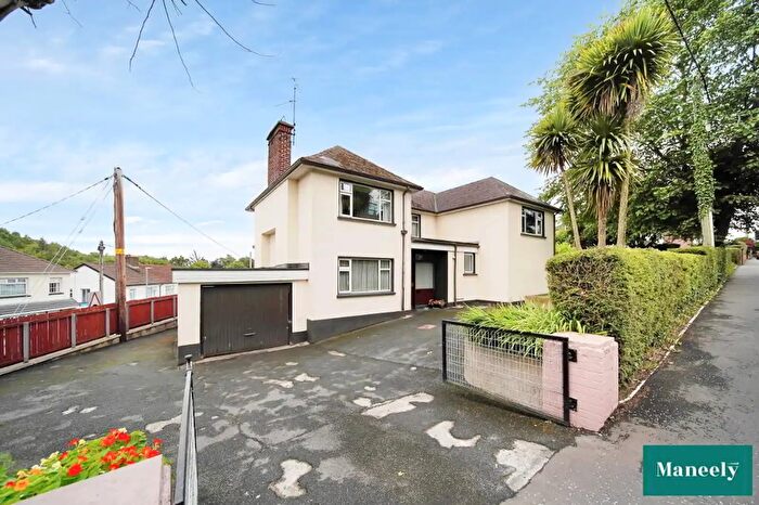 5 Bedroom Detached House For Sale In Killymeal Road, Dungannon, BT71