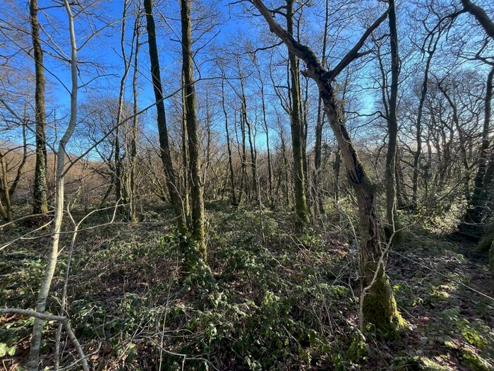 Land For Sale In Ffarmers, Llanwrda, SA19