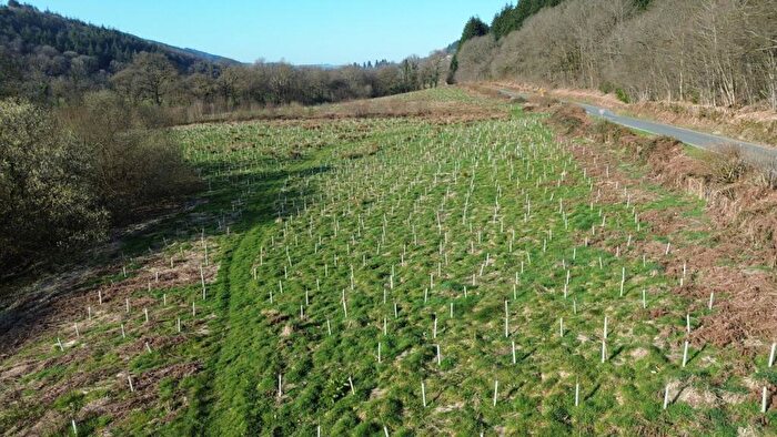 Farm Land For Sale In Abergorlech, SA32