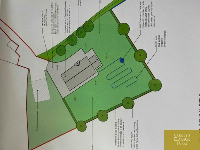 Land For Sale In Strangford Road, Downpatrick, County Down, BT30