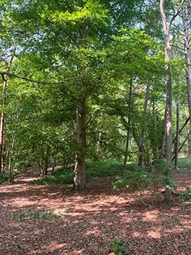 Land For Sale In Sunnyside, Bergh Apton, Norwich, Norfolk, NR15