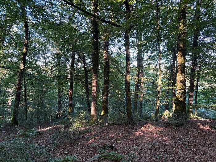 Land For Sale In Dolton, Winkleigh, Devon, EX19