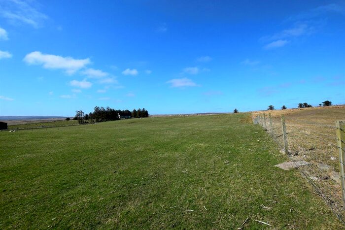 Land For Sale In Lingland, Occumster, Lybster, KW3