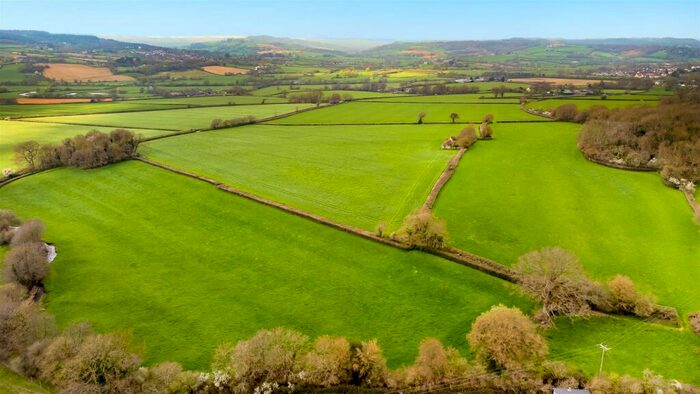 Land For Sale In Musbury, Axminster, Devon, EX13