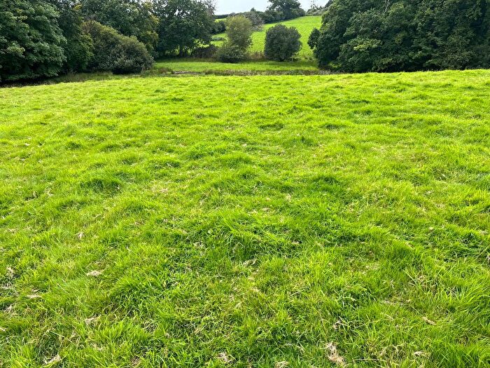 Land For Sale In South Brent, TQ10