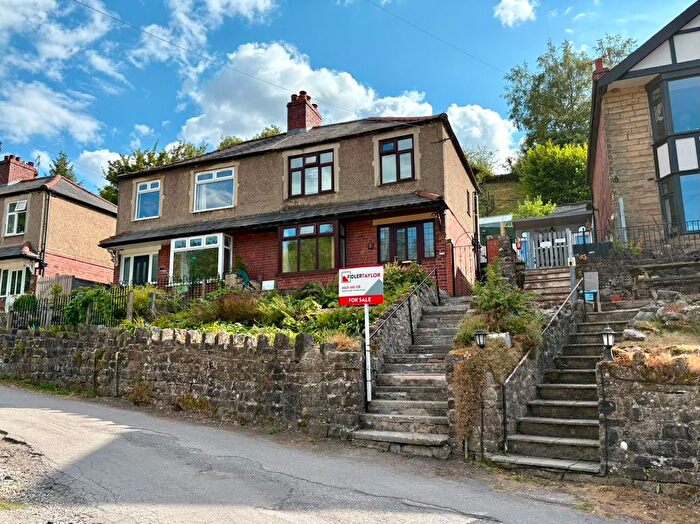 3 Bedroom Semi Detached House For Sale In Study Drive, Bonsall, DE4