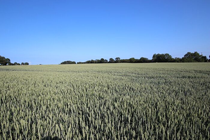 Land For Sale In Brandesburton, Driffield, YO25