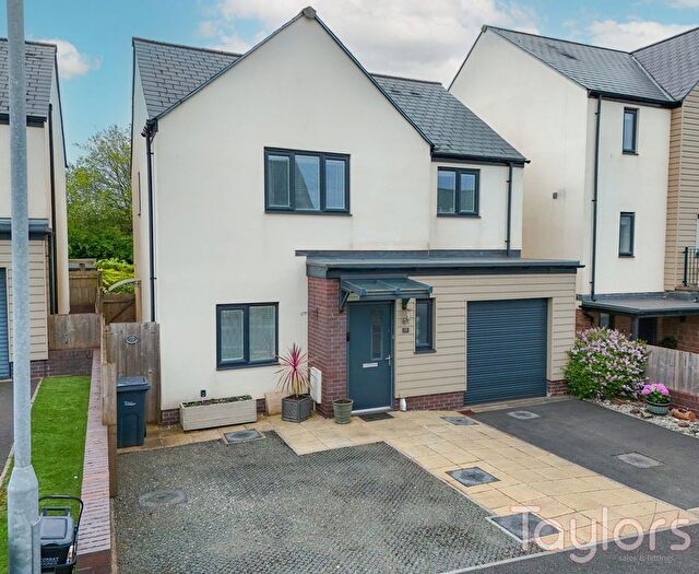 4 Bedroom Detached House For Sale In Foxglove Way, White Rock, Paignton, TQ4
