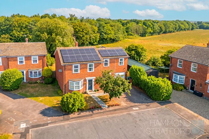 5 Bedroom Detached House For Sale In Astley Cooper Place, Brooke, NR15