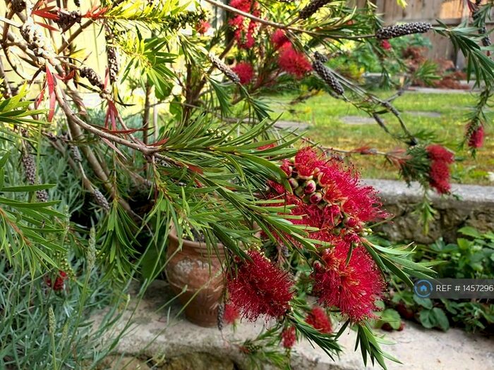 3 Bedroom Terraced House To Rent In Parliament Street, Stroud, GL5