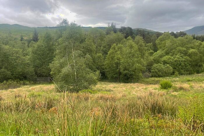 Land For Sale In Loch Lomond Plot, Crianlarich, West Highland Way, FK20