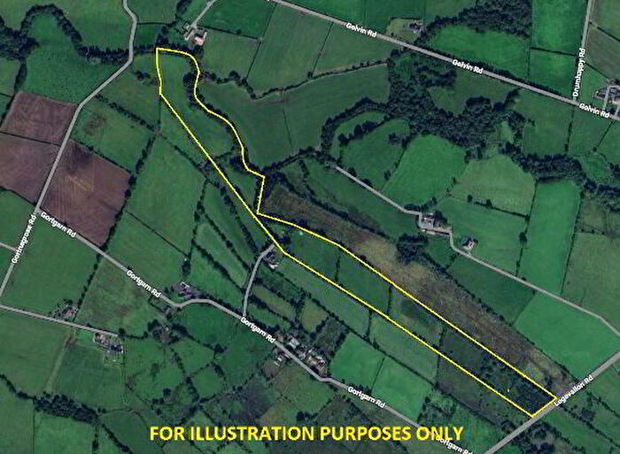 3 Bedroom Detached Bungalow And Lands For Sale In Gortgarn Lane, Dungiven, BT47