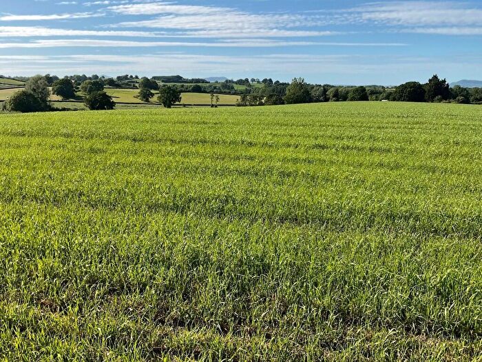 Farm Land For Sale In Lot : Land Formerly Part Of Berllanderi, Raglan, Usk, NP15
