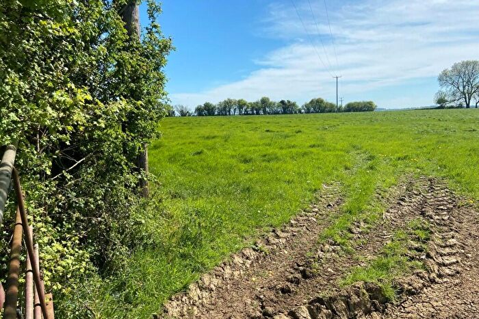 Farm Land For Sale In Lot, White Hill Lane, Hinton Blewett, Somerset, BS39