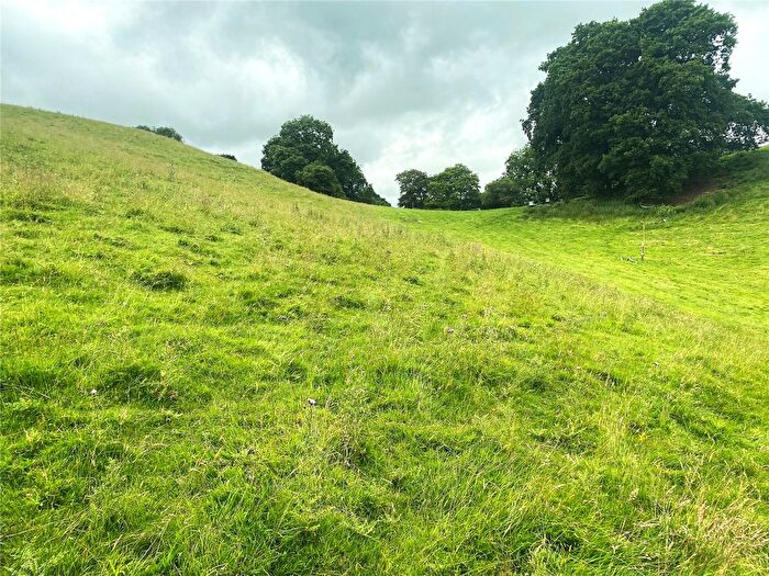 Land For Sale In Aberhafesp, Newtown, Powys, SY16