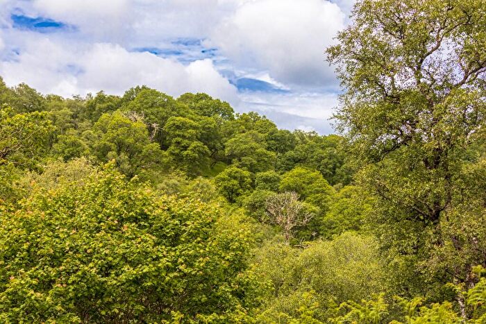 Land For Sale In Glen Nant, Taynuilt, Argyllshire, PA35