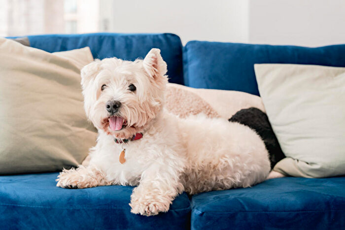 2 Bedroom Apartment To Rent In Silvertown Way, London, E16