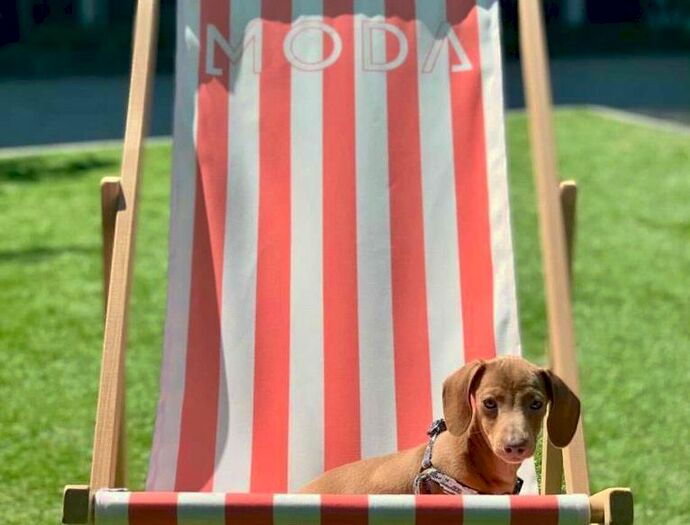 2 Bedroom Flat To Rent In Angel Gardens, Manchester, M4