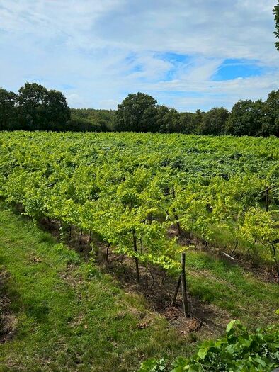 Land For Sale In Harbourne Lane, High Halden, Ashford, Kent, TN26