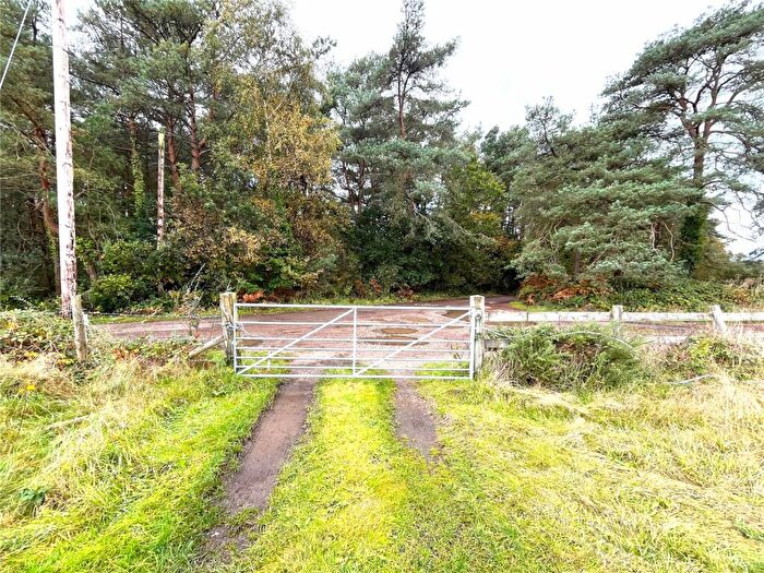 Land For Sale In Foxbury Road, St. Leonards, Ringwood, Dorset, BH24
