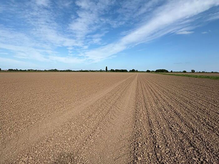 Farm Land For Sale In Grade And Grade Arable Land, Park Lane, Swineshead, PE20