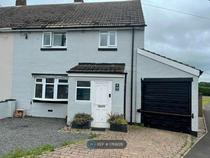 3 Bedroom Semi-Detached House To Rent In Tate Avenue, Kelloe, Durham, DH6