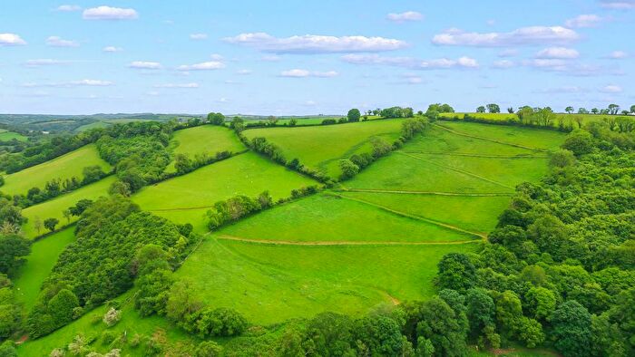 Land For Sale In Beenleigh, Harbertonford, Totnes, TQ9