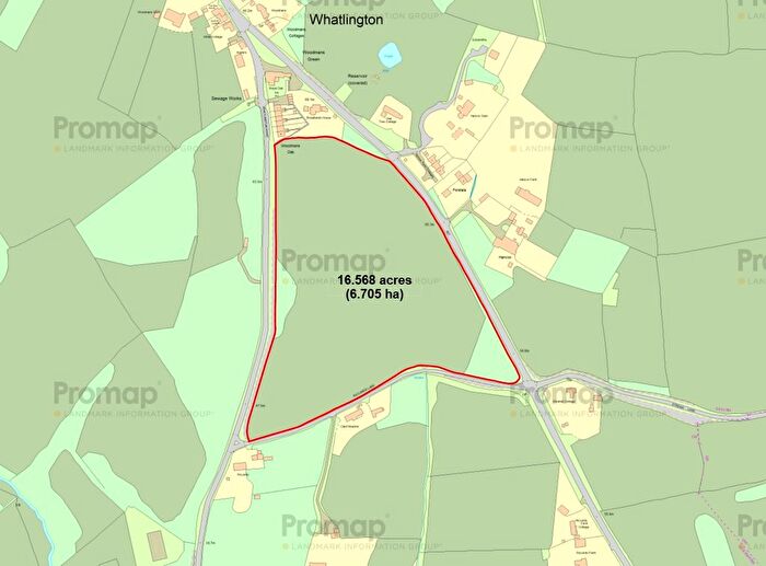 Land For Sale In Riccards Lane, Whatlington, TN33