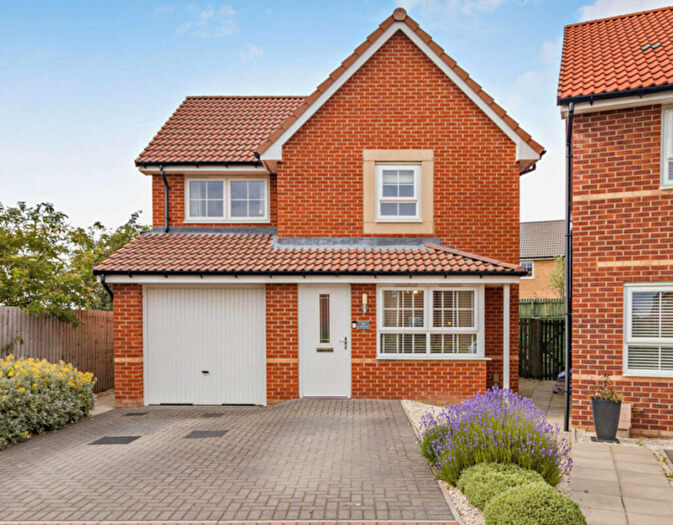 3 Bedroom Detached House For Sale In Wallis Grove, Doncaster, DN11