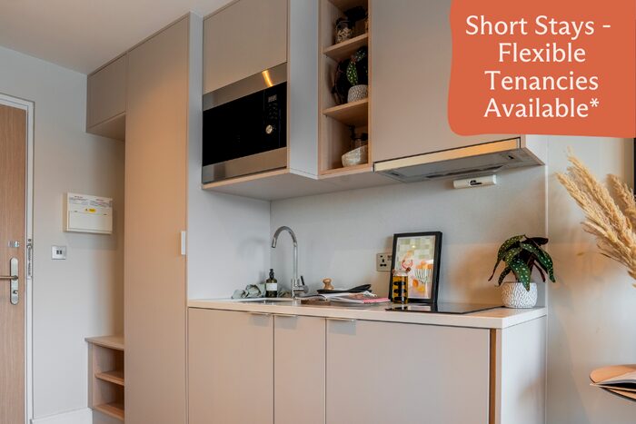 Studio To Rent In The Mall, London, W5