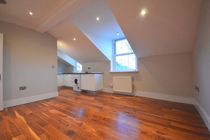 1 Bedroom Flat To Rent In De Crespigny Park, Camberwell, SE5