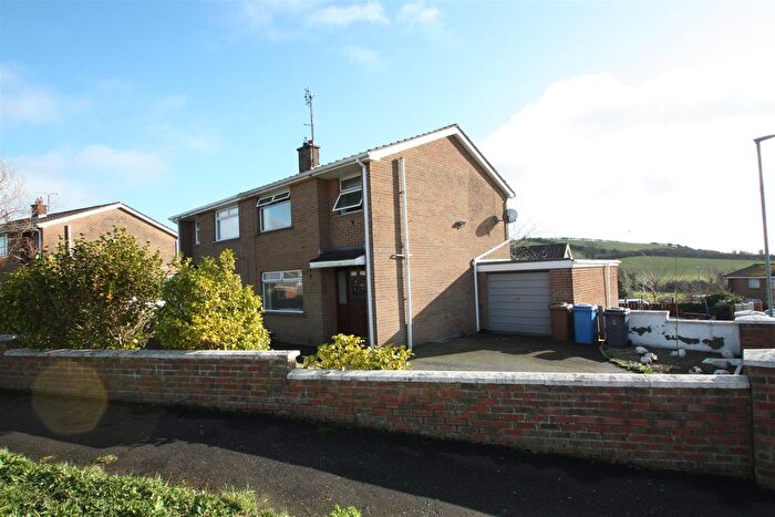 3 Bedroom Semi-Detached House For Sale In Hillhead Crescent, Ballynahinch, BT24