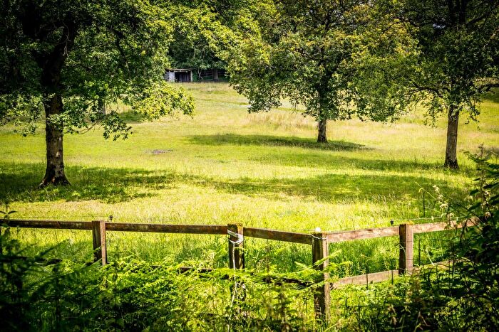 5 Bedroom Land For Sale In Ewhurst, Surrey, GU6