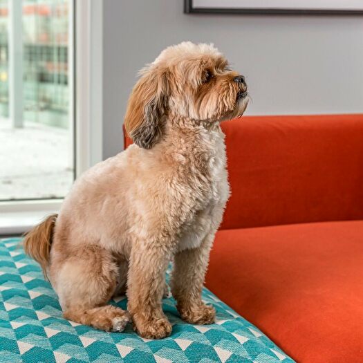 2 Bedroom Apartment To Rent In Station Road, London, SE13