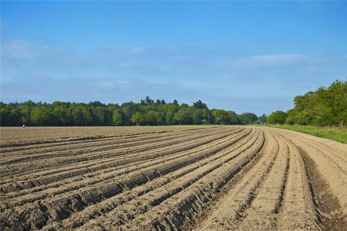 Land For Sale In Red House Farm (Lot ), Brick Kiln Road, Harkstead, IP9