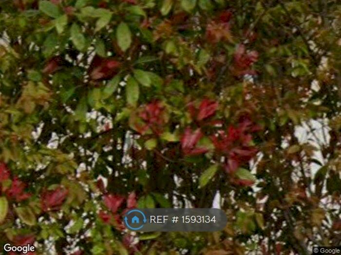 3 Bedroom Bungalow To Rent In Orchard View Cottage, Middle Wallop, Stockbridge, SO20