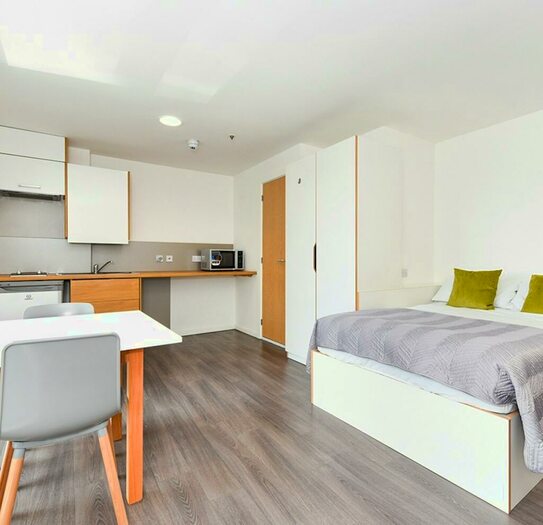 1 Bedroom House To Rent In Great Crosshall Street, Liverpool, L3