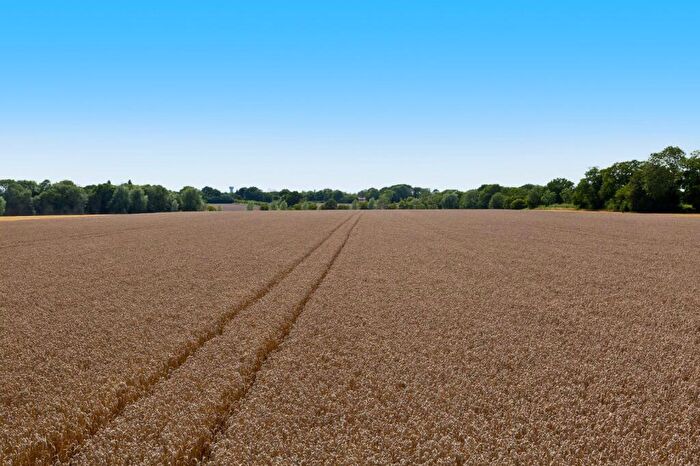 Farm Land For Sale In Metfield Road, Fressingfield, Eye, Suffolk, IP21