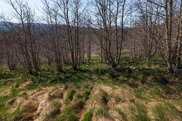 Land For Sale In Building Plot M West Of Eastwood, Balnain, Drumnadrochit, IV63