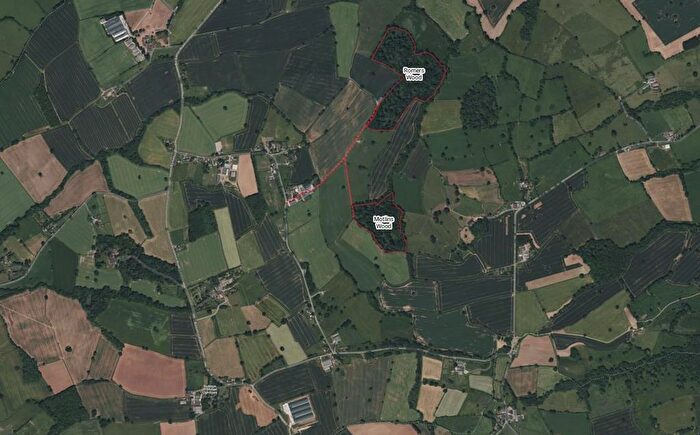 Farm For Sale In Romers Common, Bockleton, Tenbury Wells, WR15