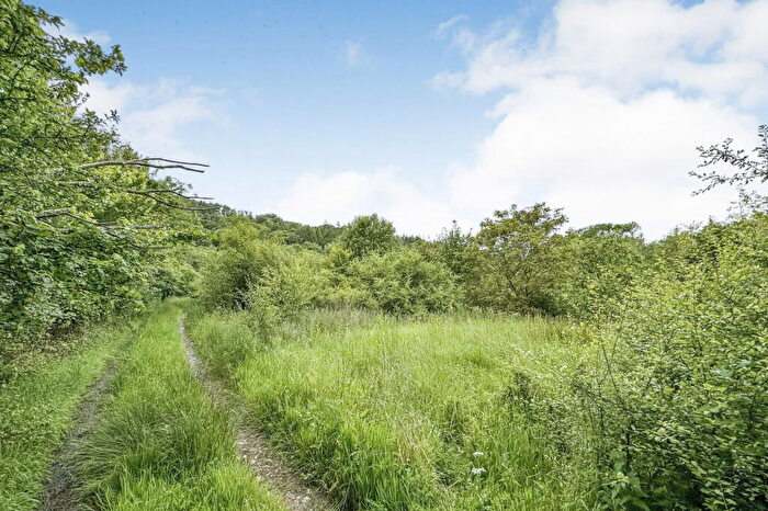 7 Bedroom Country House For Sale In Newells, Musbury, Axminster, Devon, EX13