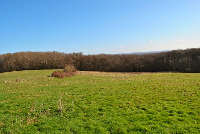 Land For Sale In Coolham Road, Pulborough, West Sussex, RH20
